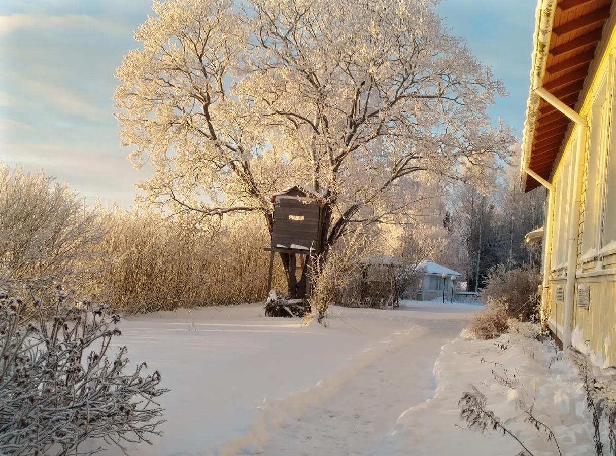 Hotel Majatalo Myoetaetuuli Pitkajarvi  Exteriér fotografie